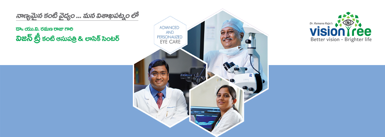 VisionTree Eye Care Center